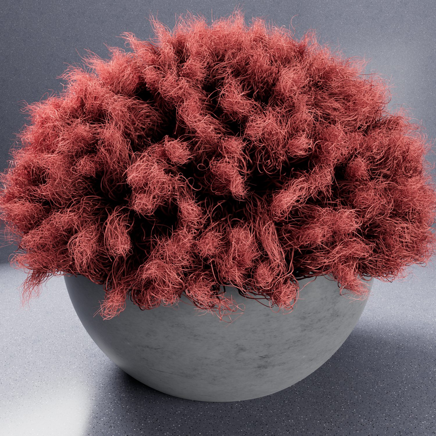 Pink curly fur ball