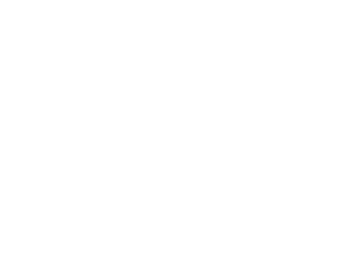 Deech wordmark